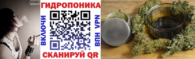 Как найти закладки Лодейное Поле COCAIN Меф Канабис