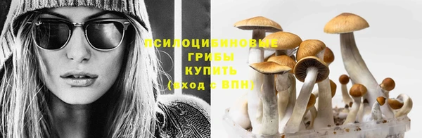 марки lsd Абаза