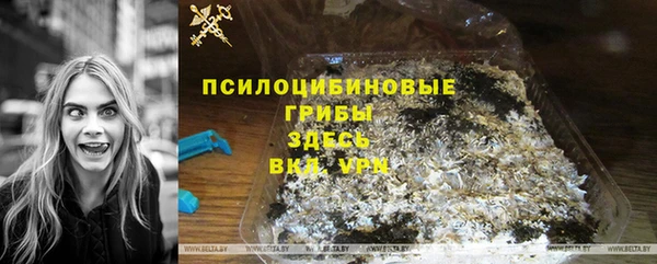 герыч Алексин