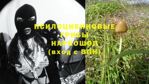 индика Алексеевка