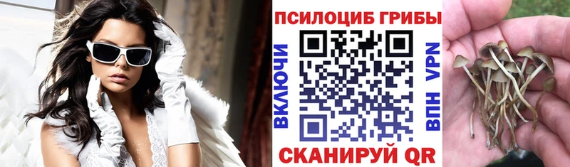 цена   Лодейное Поле  МЕГА   Галлюциногенные грибы Magic Shrooms 